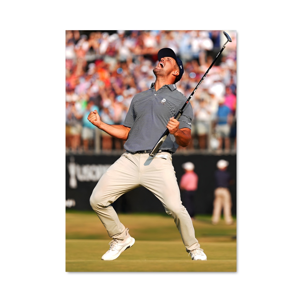 Poster Swing d'Excellence